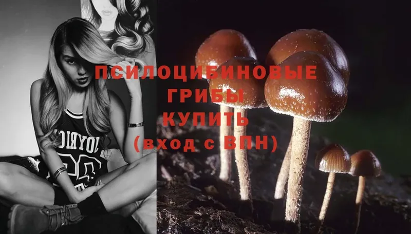 Галлюциногенные грибы MAGIC MUSHROOMS  Кирсанов 